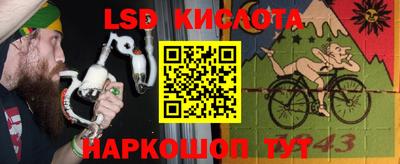 прущие грибы Абакан