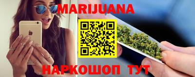 прущие грибы Абакан